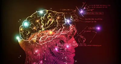 Тренировка памяти и методы запоминания