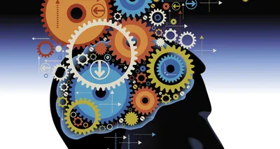 Тренировка и развитие мозга с помощью Викиум.ру